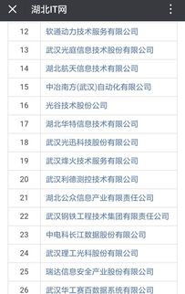 祝賀湖北47家企業(yè)獲評系統(tǒng)集成資質(zhì)壹級和貳級 計算機信息系統(tǒng)集成服務(wù)再上層樓